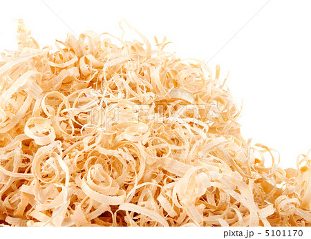 Wood shavings on white background with copy space Wood shavings on white background with copy space 5101170