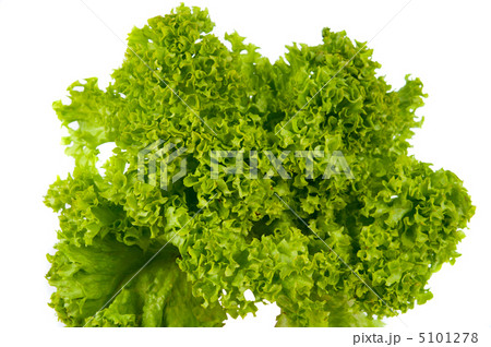 Salad leaves isolated 5101278