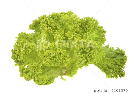 Salad leaves Salad leaves 5101370