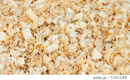 wood shavings 5101589