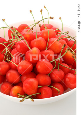 さくらんぼ 5101968