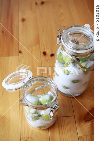 無農薬の南高梅の青梅とフルーツシュガーで梅シロップ作り 無農薬の南高梅の青梅とフルーツシュガーで梅シロップ作り 5102016