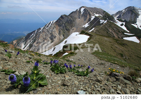 杓子岳とウルップソウ 杓子岳とウルップソウ 5102680