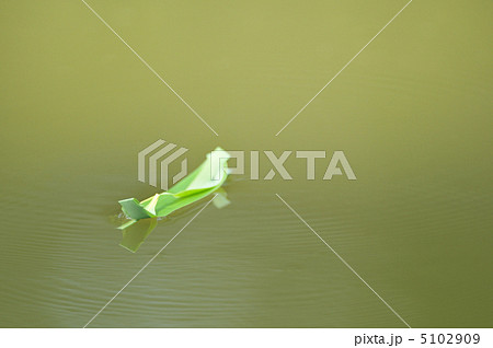 笹舟 笹舟 5102909