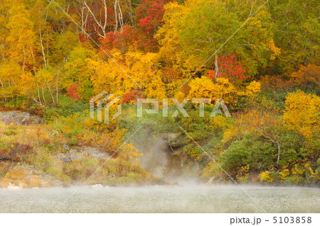 八甲田・地獄沼の紅葉 5103858