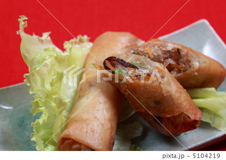 春巻　春巻き 5104219