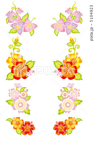 ハイビスカス 5104923