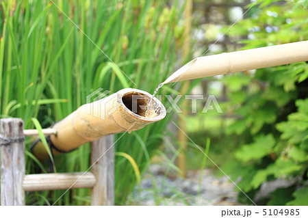 ししおどし 5104985