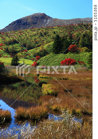 草津白根山　芳ヶ平の紅葉 5105369