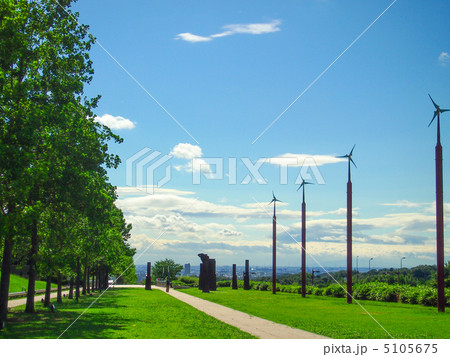 芝と風車 5105675