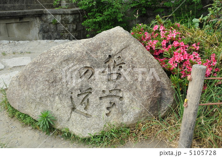 京都　哲学の道 5105728