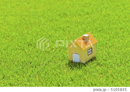 芝生と自作の家模型 5105835