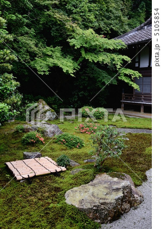 南禅寺、苔庭 南禅寺、苔庭 5105854