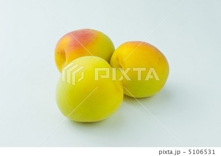 南高梅 南高梅 5106531