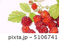 ラズベリー 5106741
