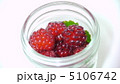 ラズベリー 5106742