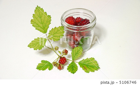 ラズベリー 5106746