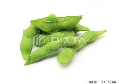 枝豆 枝豆 5106786