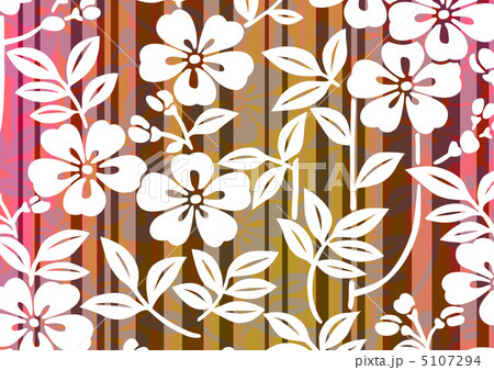 グラフィックパターン グラフィックパターン 5107294