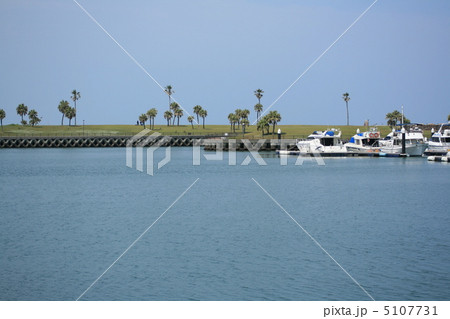 臨海公園 5107731