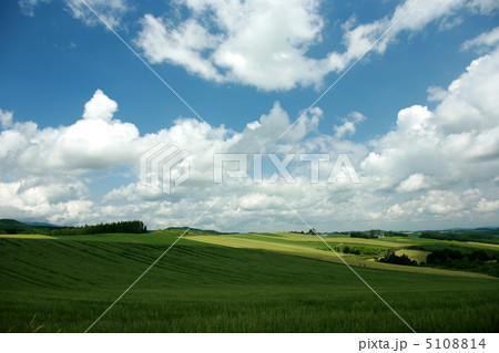 無題 無題 5108814