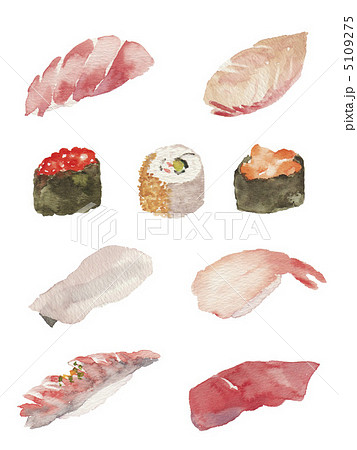 寿司のイラスト素材