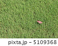 芝生と枯葉 5109368