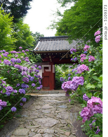 幸田町・本光寺 5109373