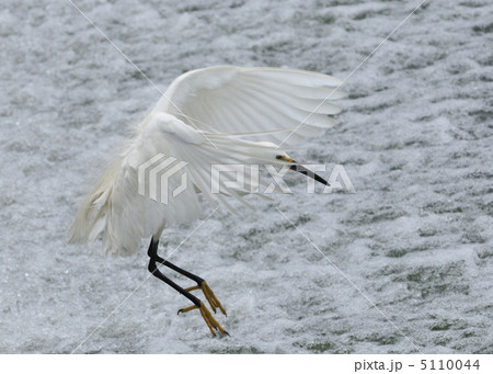 そうかい 5110044