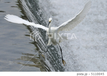 ジャンプ 5110045