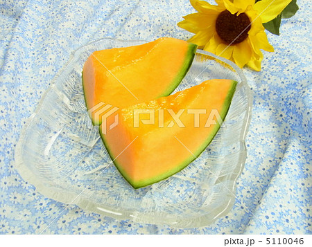 クインシーメロン 5110046