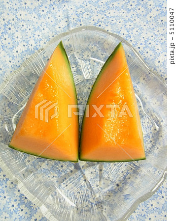 クインシーメロン 5110047