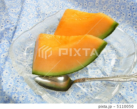 クインシーメロン 5110050