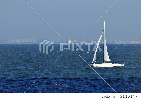 東京湾のヨット 5110147