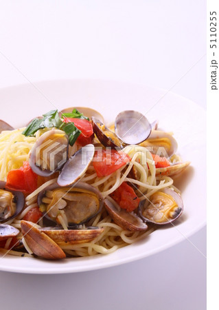 ボンゴレ 5110255