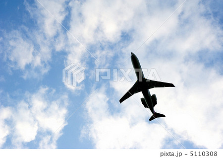 大空への飛翔 大空への飛翔 5110308