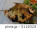 アマゾンの魚パク 5110328