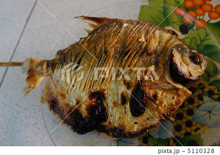 アマゾンの魚パク 5110328