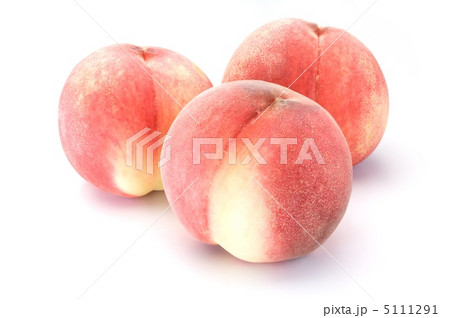 桃 桃 5111291
