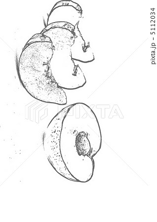 illustration of plums illustration of plums 5112034