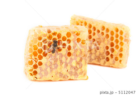 honeycomb honeycomb 5112047
