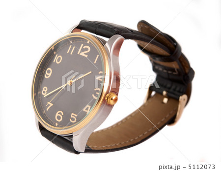 wristwatch 5112073