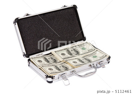 Silver case with dollars Silver case with dollars 5112461