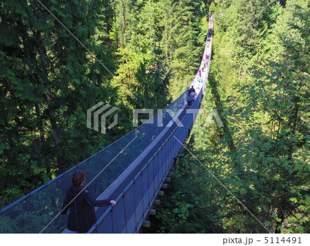 Capilano suspension bridge - Stock Photo [5114491] - PIXTA