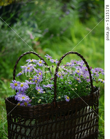 Flower　ｂasket 　in garden （縦画像） 5115178