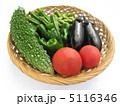 夏野菜 5116346