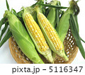 トウモロコシ 5116347