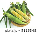 トウモロコシ 5116348