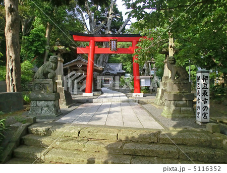 伊豆下田の白濱神社の鳥居(静岡県下田市) 伊豆下田の白濱神社の鳥居(静岡県下田市) 5116352
