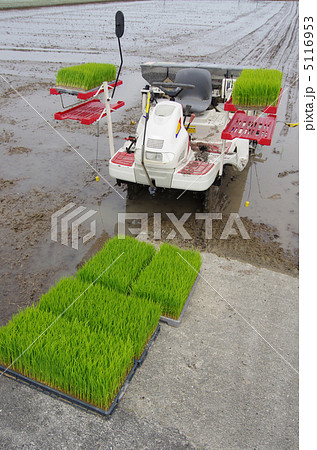 田植えの準備 田植えの準備 5116953